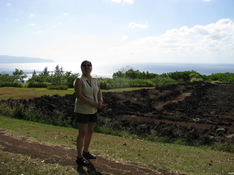 Pu'u O Mahuka Heiau - Tour de l'île côte est et le centre