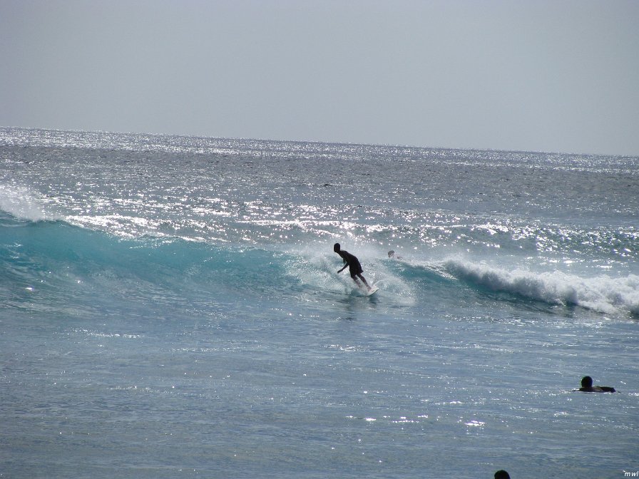 Visite de la côte occidentale de Oahu