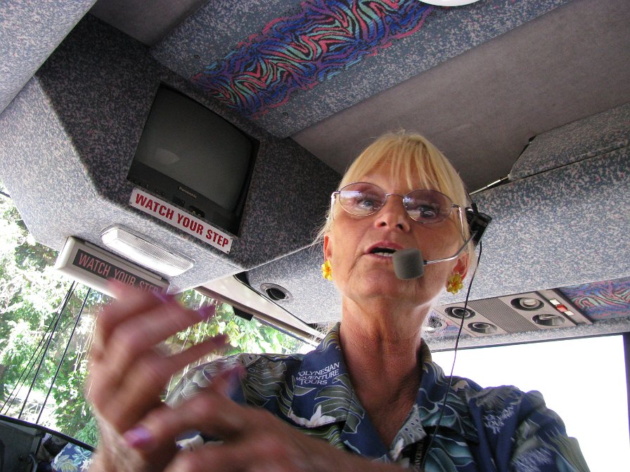 Visite des îles et des volcans de Big Island