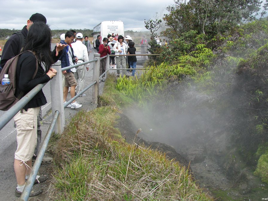 Visite des îles et des volcans de Big Island
