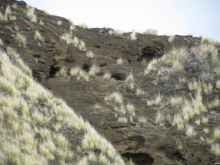 Visite du cratère Diamond Head
