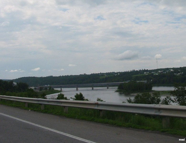 IMG 0875