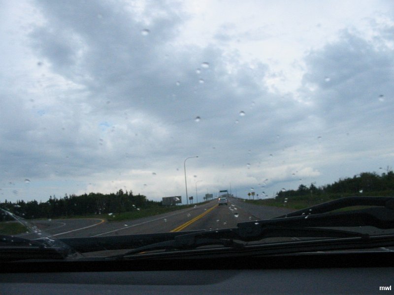 IMG 0878