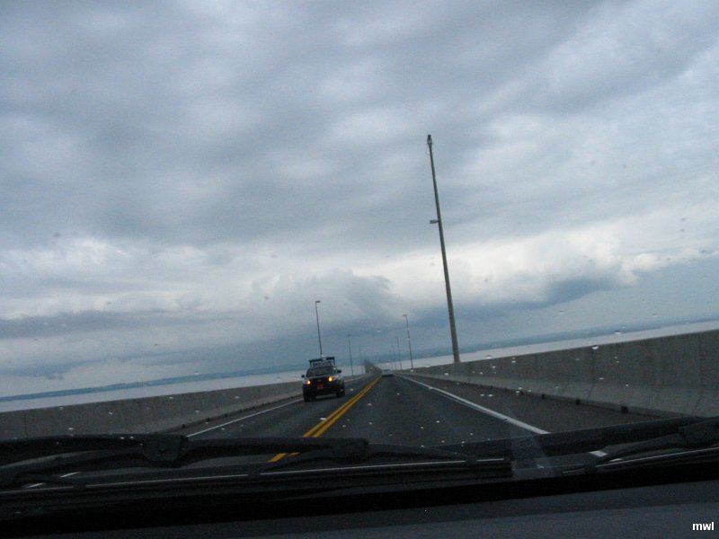 IMG 0882