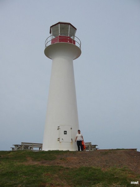 IMG 0935