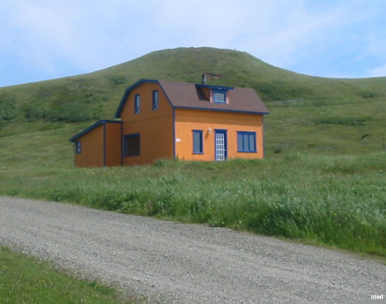 IMG 1163