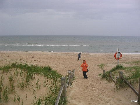 DunesDuBassin