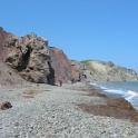 Phoque mort sur la plage