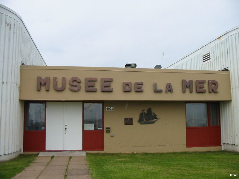 IMG 0964