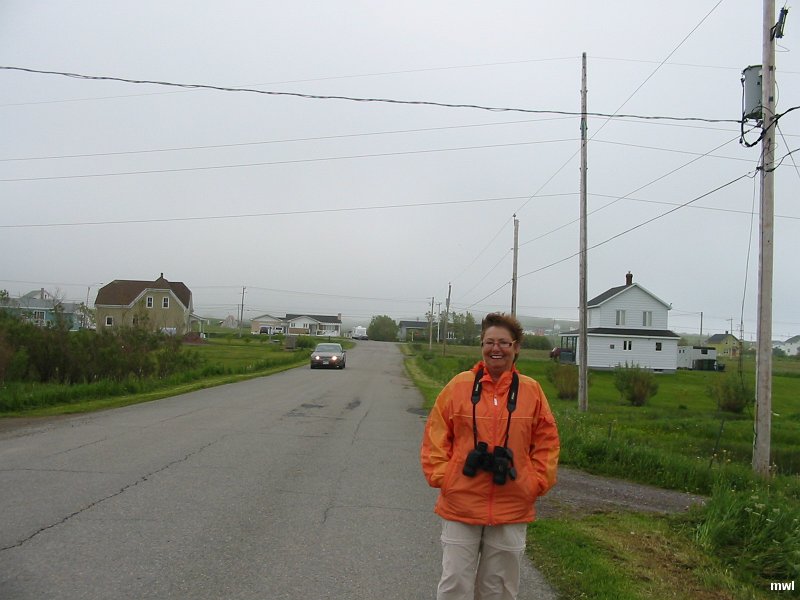 IMG 0981