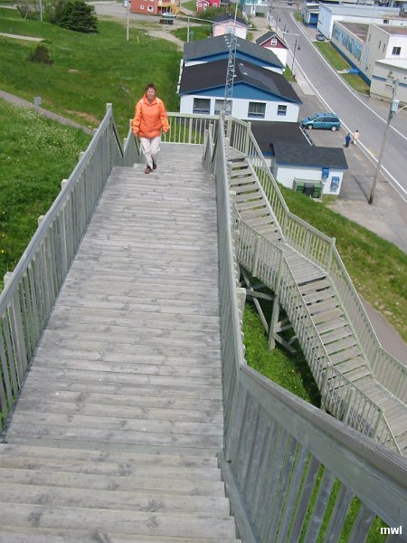 IMG 1087