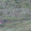 IMG 0923
