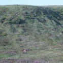 IMG 0924
