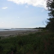 Dîner en bord de mer