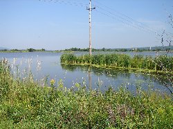 Marais des Landry - Cliquer pour pleine grandeur