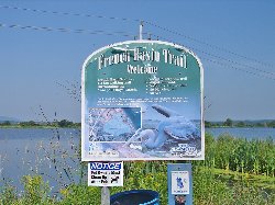 Marais des Landry -French Bassin Trail - Cliquer pour pleine grandeur