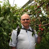 Visite du Eden Project près de St Austell