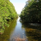 Excursion de Luss and Loch Lomond Drive