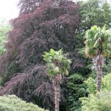 Powerscourt Estate, Waterfall and Nature Walk
