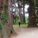 Powerscourt Estate, Waterfall and Nature Walk