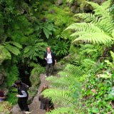 Powerscourt Estate, Waterfall and Nature Walk