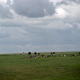 Excursion à Stratford, Cotswolds, Bath & Stonehenge