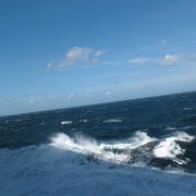 En mer de Puerto Madryn à Stanley aux Malouines Voyage en Argentine et Chili.