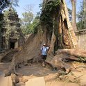 Ta Prohm qui fût le plus vaste temple dAngkor, aujourdhui livré à la jungle
