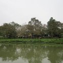 Excursion en bateau sur la Rivière des Parfums