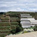 Route vers Dalat