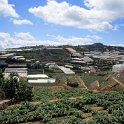 Route vers Dalat