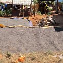 Route de Dalat vers Phan Thiet