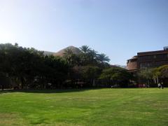 Tour de l'ile de La Gomera