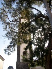Visite de Santa Cruz de Tenerife