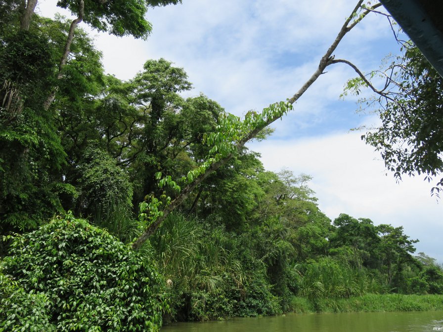 Tournée sur un bateau de rivière