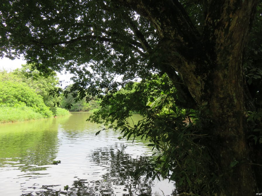 Tournée sur un bateau de rivière