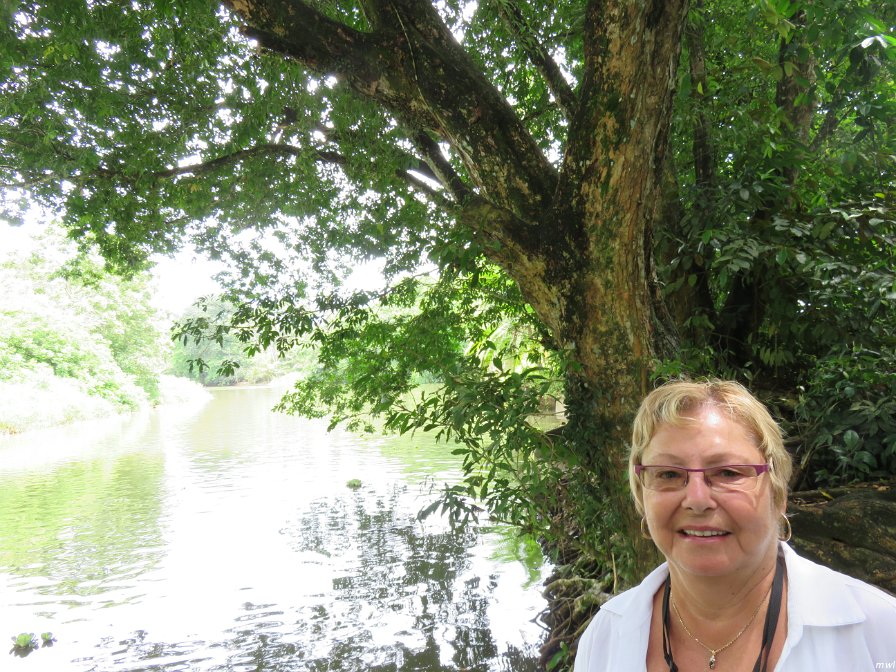 Tournée sur un bateau de rivière