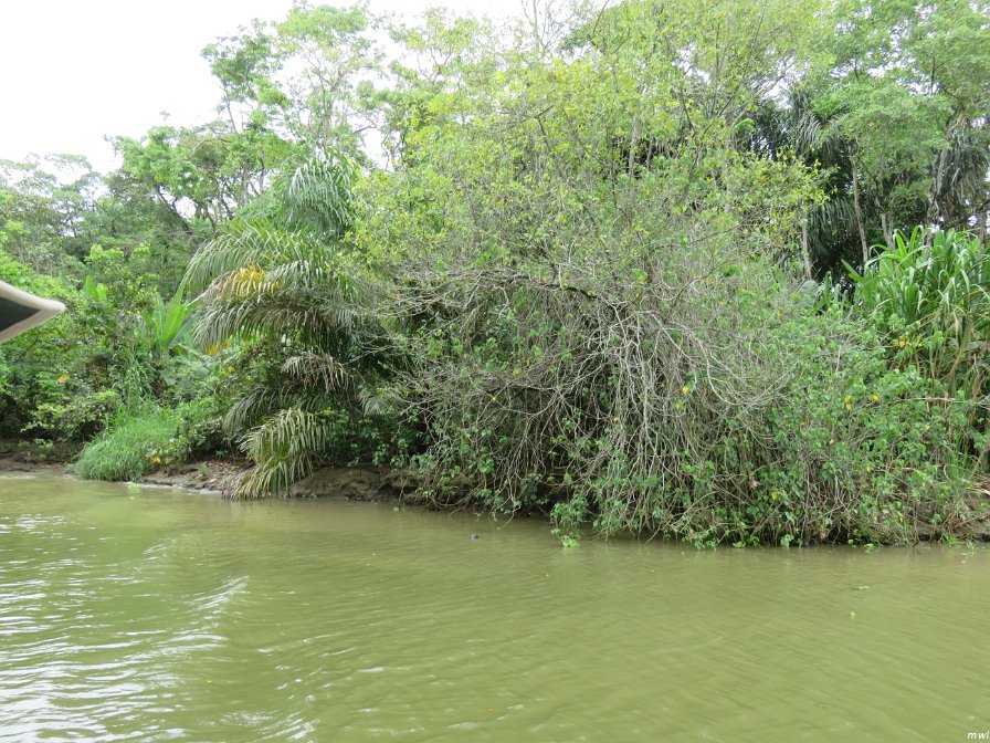 Tournée sur un bateau de rivière