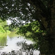 Tournée sur un bateau de rivière