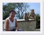 2002:04:19 15:19:48 - Les singes de Gibraltar.