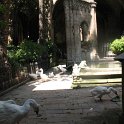 Cathédrale de Barcelone