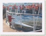 2005:05:20 18:17:40 - Rassemblement sur le pont pour l'exercice de sauvetage