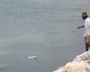 Il pêche de petits possons pour appâter