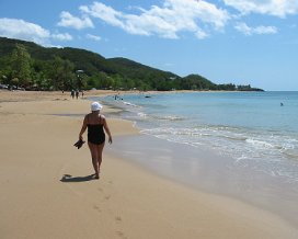 Basse Terre