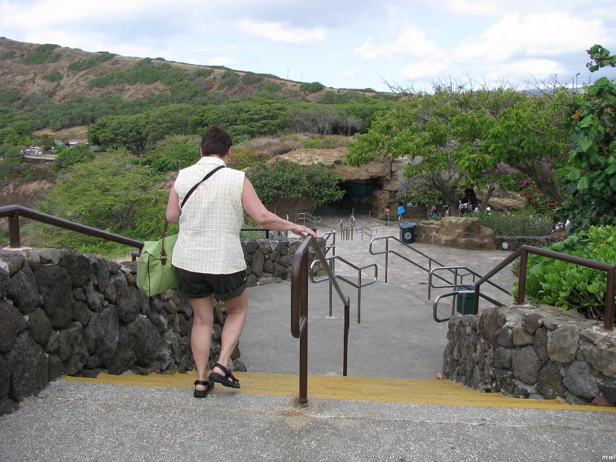 Tour de l'île côte est et le centre