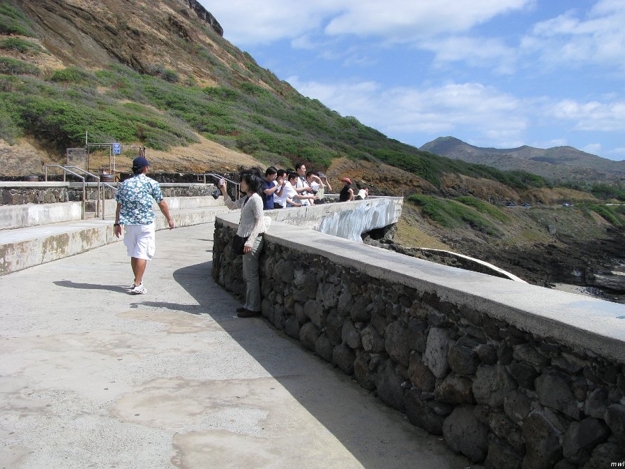 Tour de l'île côte est et le centre