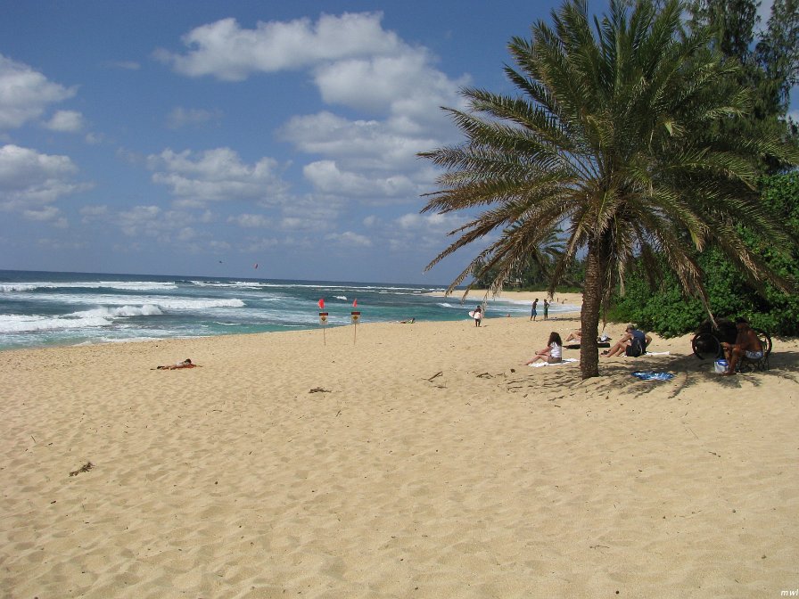 Tour de l'île côte est et le centre