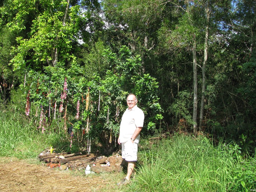 Pu'u O Mahuka Heiau - Tour de l'île côte est et le centre