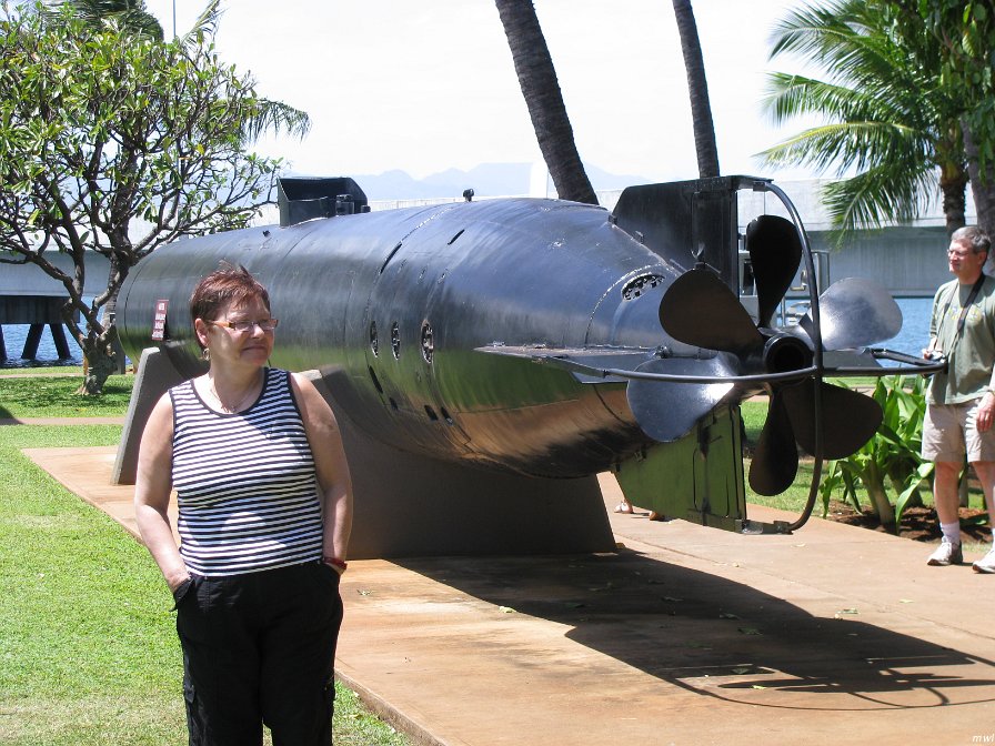 Visite du port Pearl Harbor