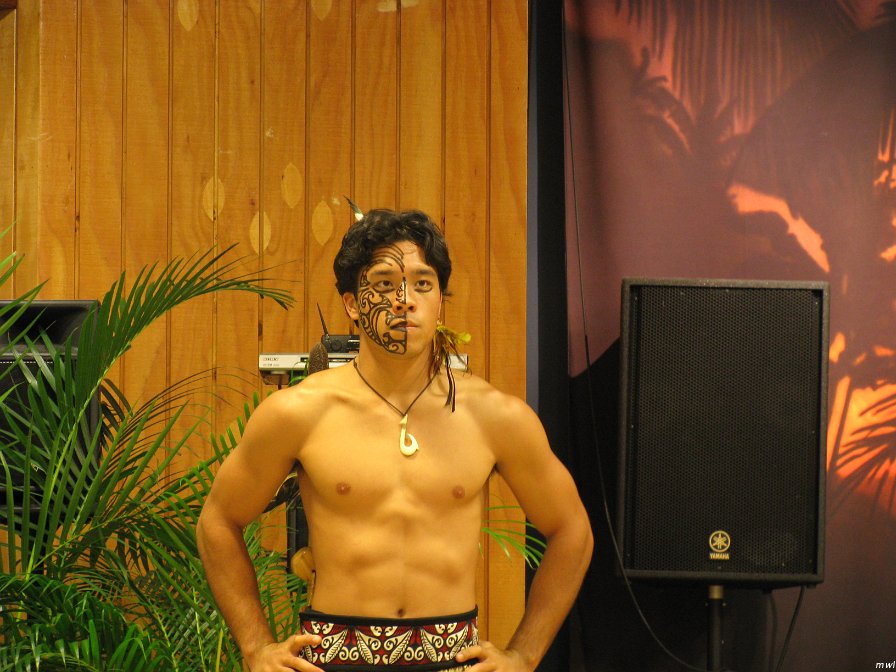 Tour de la rue principal de Waikiki